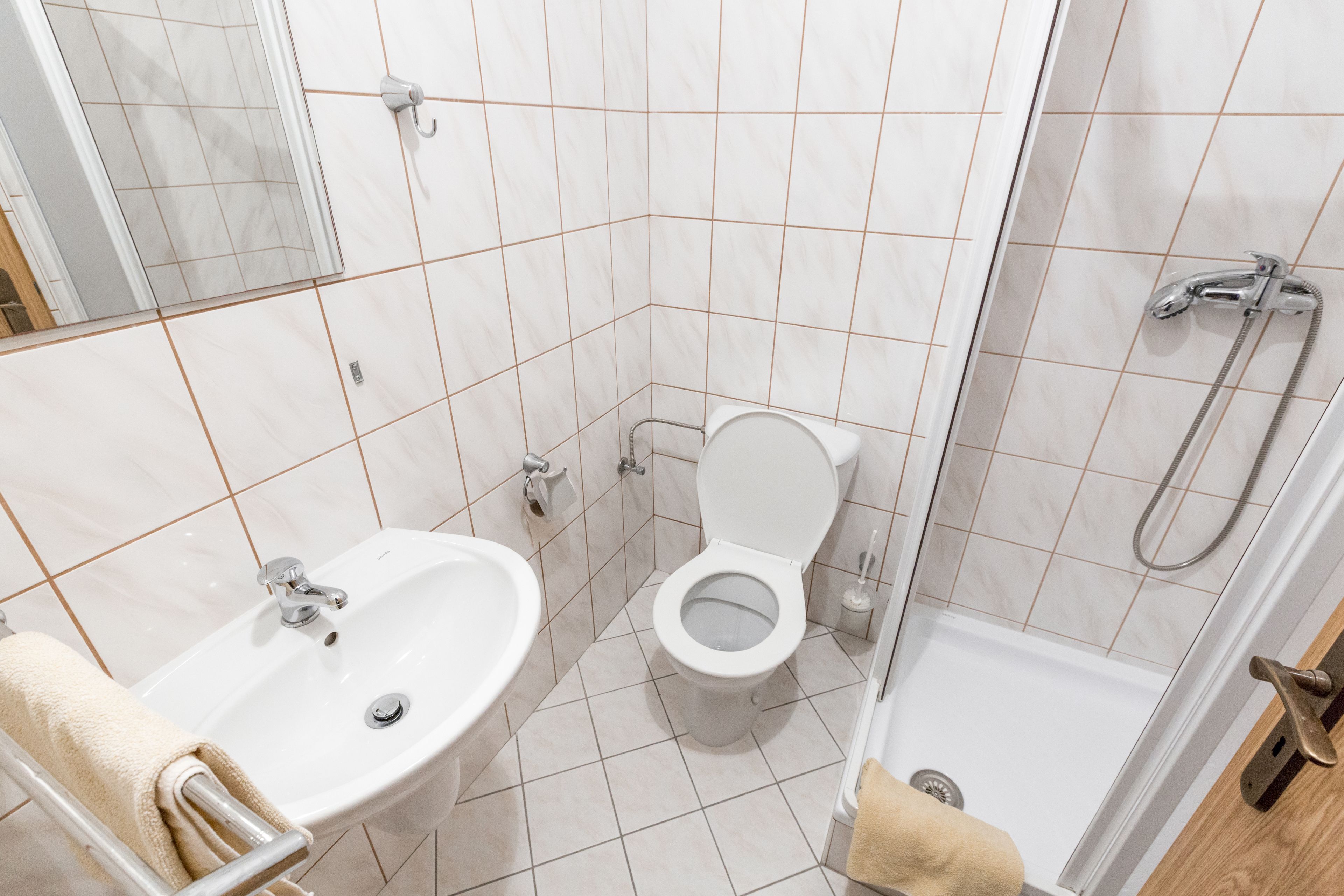 Une salle de bain avec un lavabo, des toilettes et une douche.