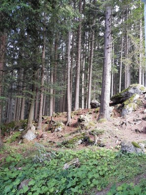 Vue sur les montagnes