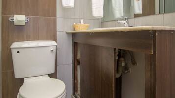 A bathroom with a toilet, a sink, and a mirror.