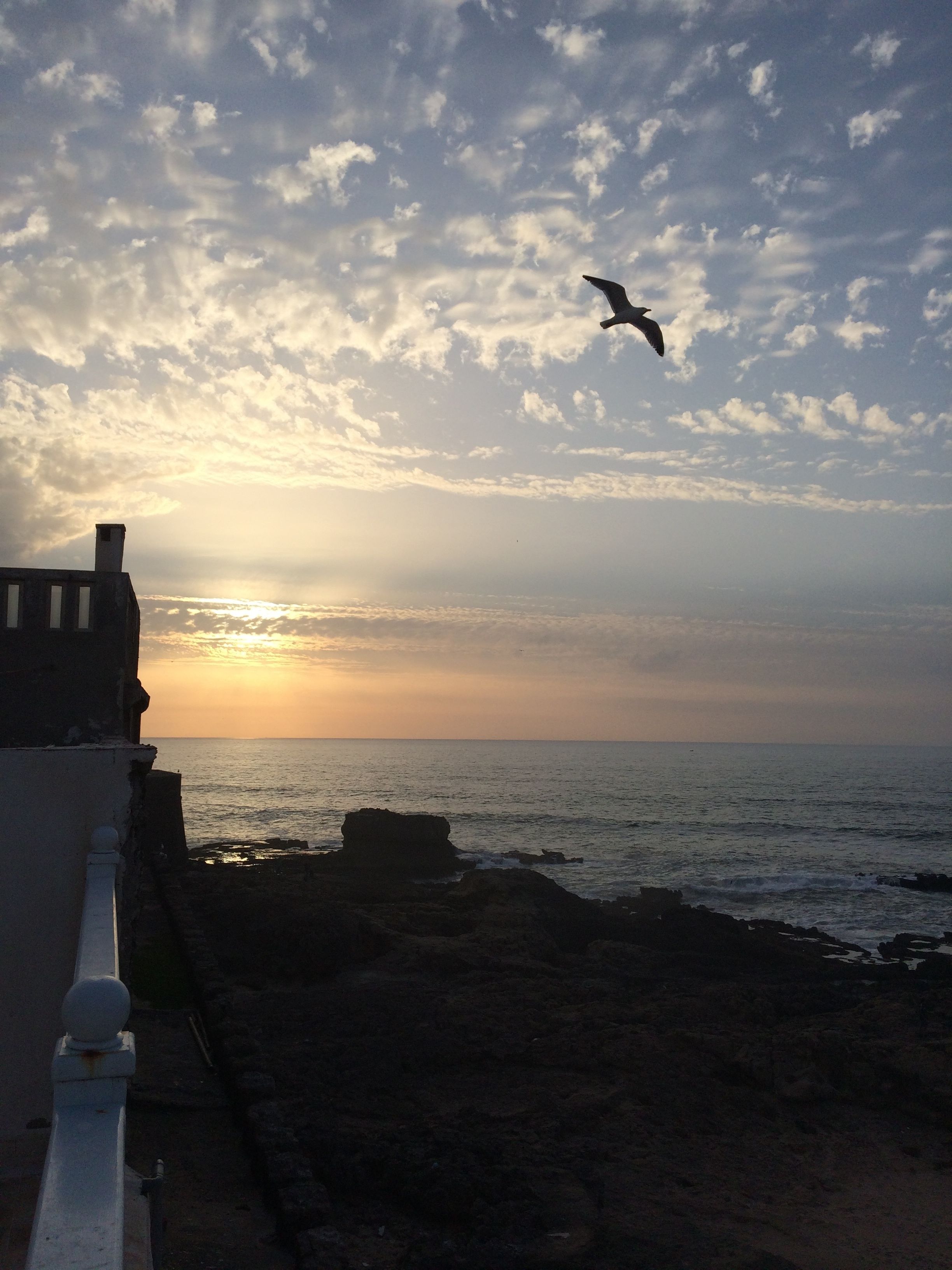A coastal sunset with a bird flying, rocky shoreline, and a building with a chimney.