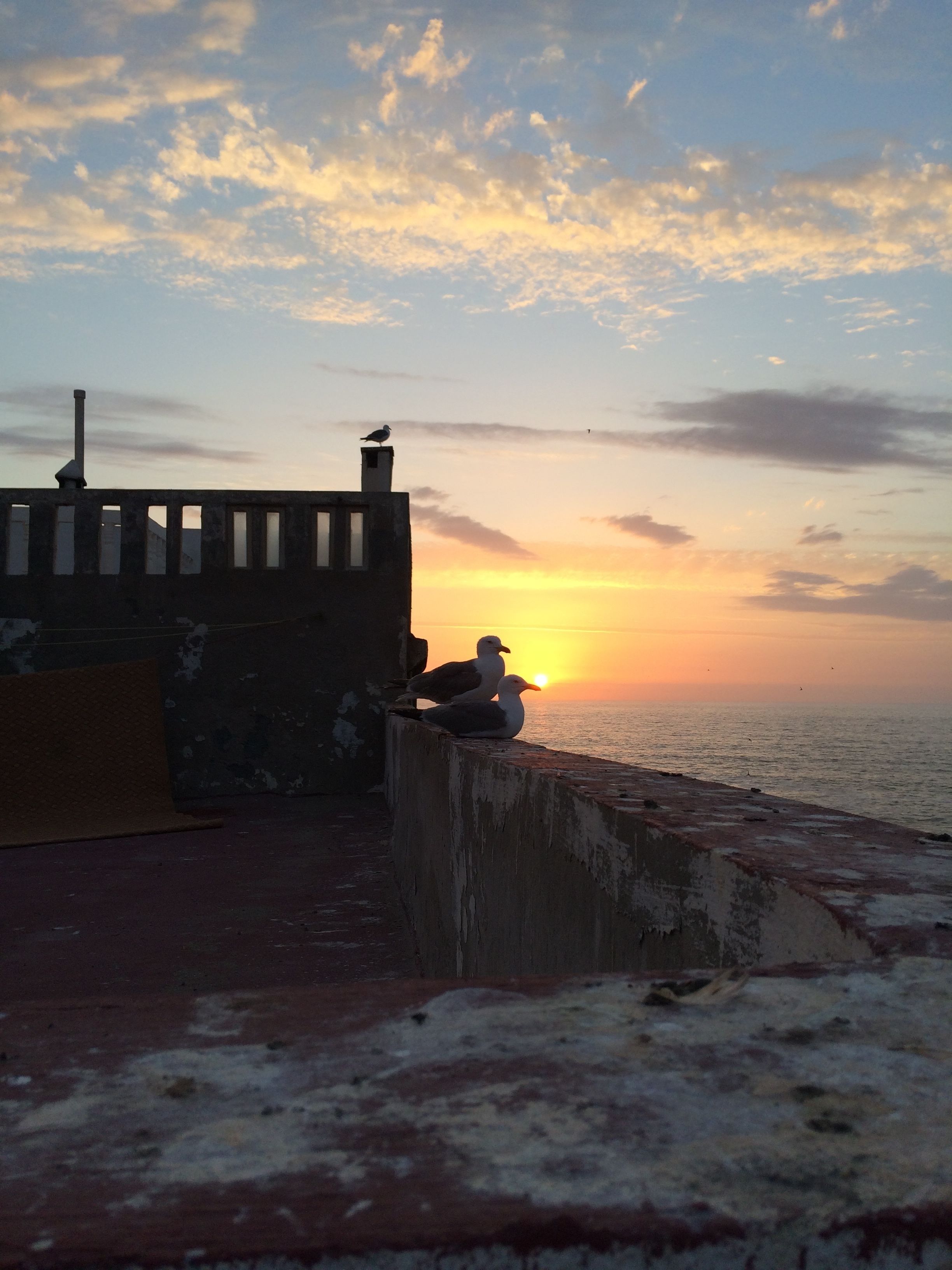 A sunset view with a concrete wall and a bird perched on it.