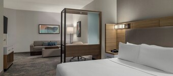 SpringHill Suites by Marriott Allentown Bethlehem/Center Valley