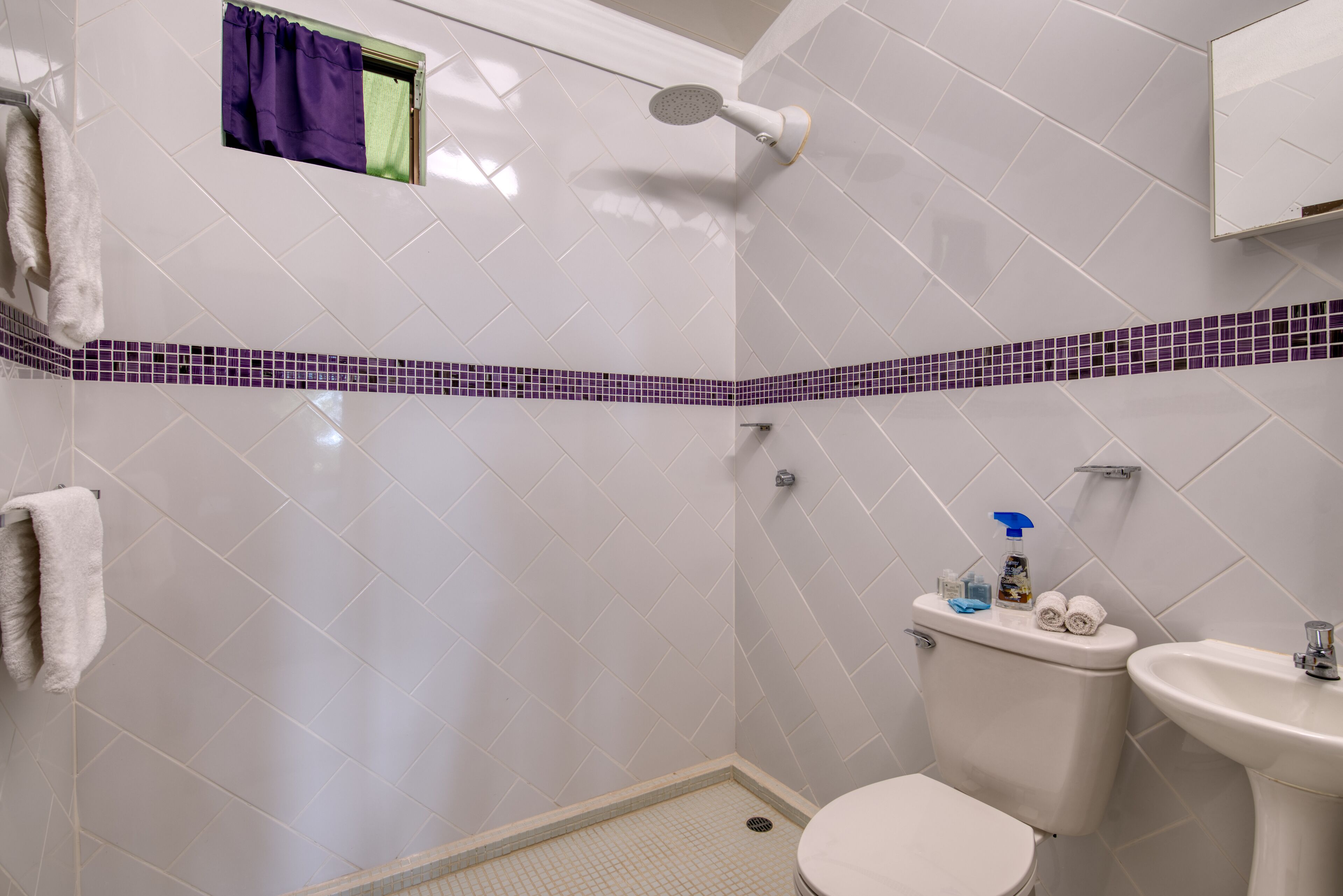 9 purple room king bed | bathroom | shower, free toiletries, hair dryer, towels