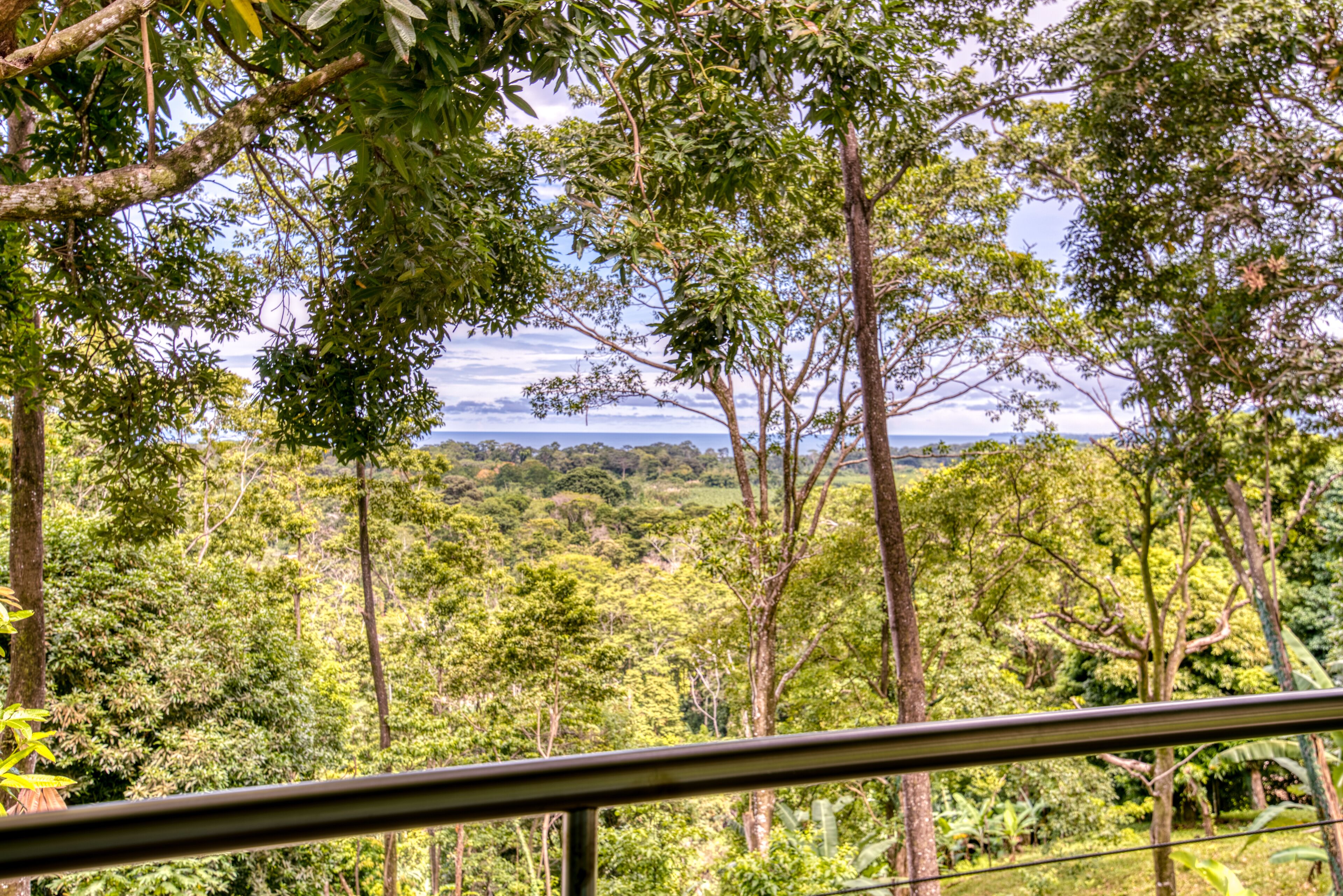 11 yellow room double room with two double beds | view from room