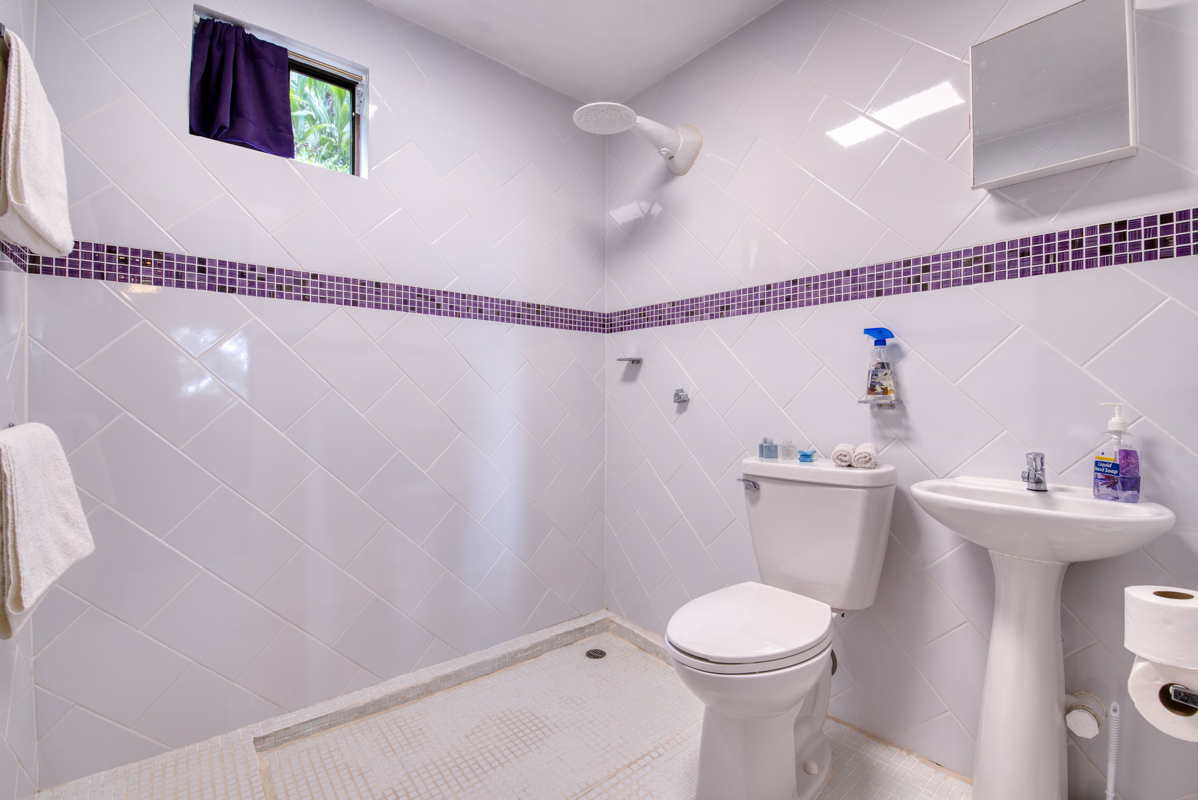 shower, free toiletries, hair dryer, towels