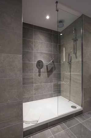 Shower, eco-friendly toiletries, hair dryer, towels