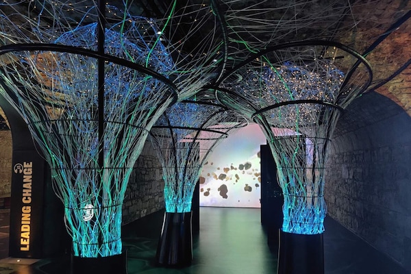 Land view from property