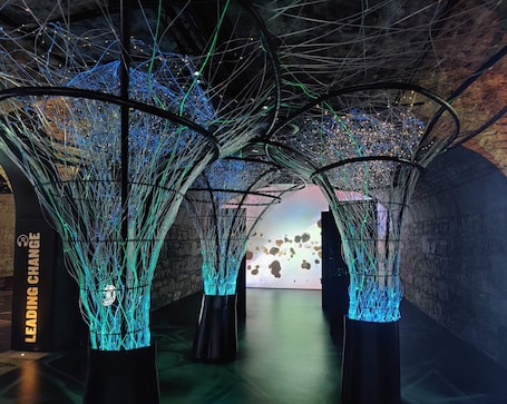 Land view from property