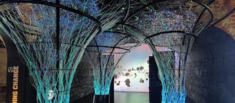 Maldron Hotel Kevin Street, Dublin City