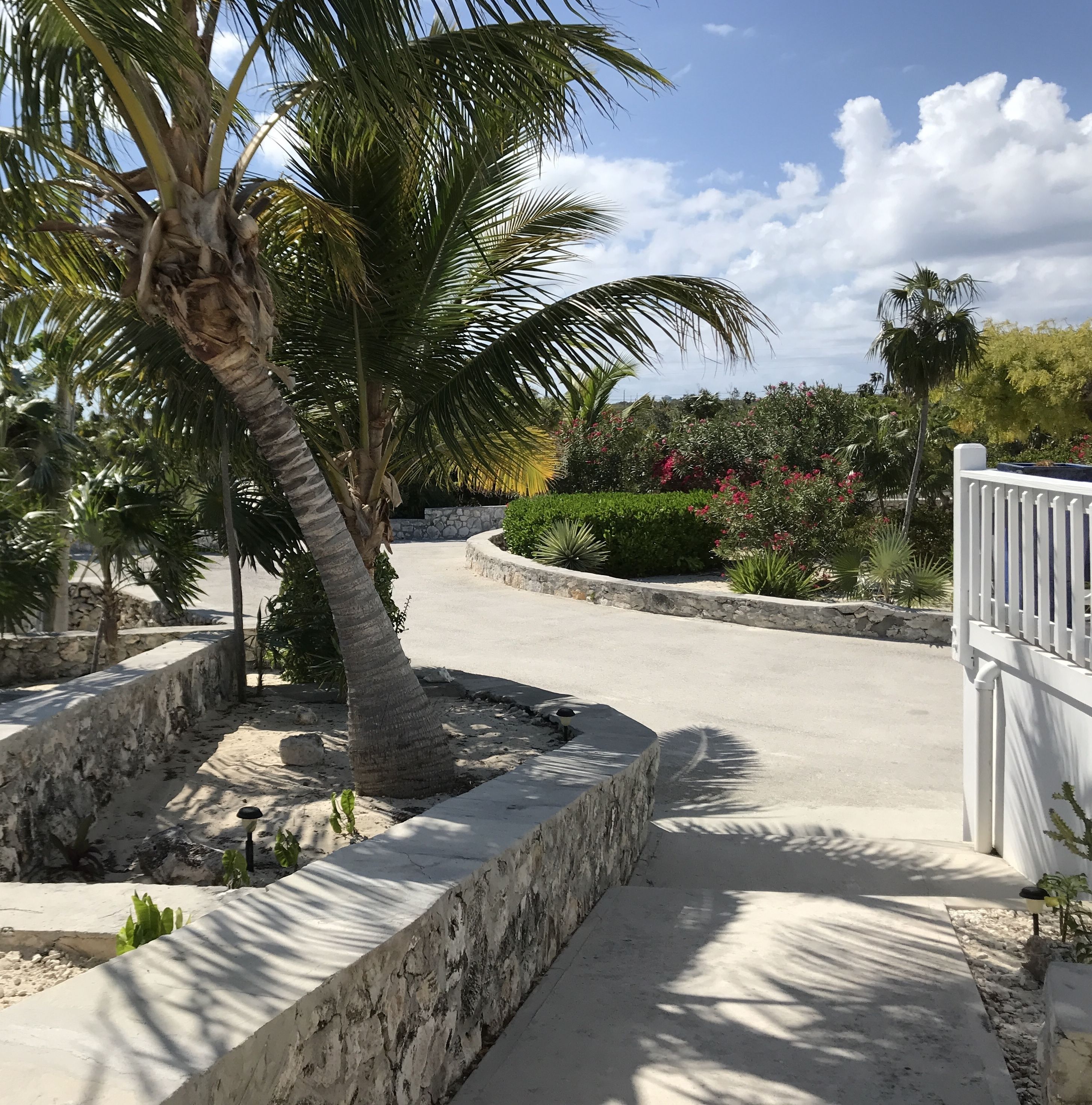 A paved pathway flanked by palm trees and a white fence, leading to a stone wall and a garden with various plants and flowers.