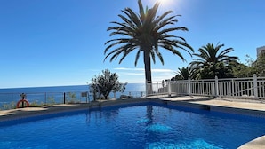 Une piscine d’un bleu éclatant, bordée d’un palmier, avec une clôture blanche et une vue sur l’océan.