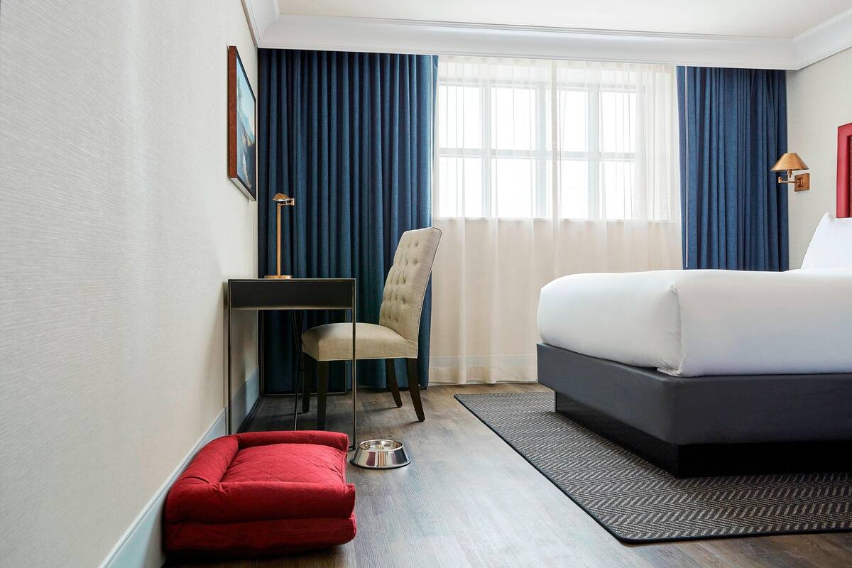 Habitación de hotel con cama, una silla, un escritorio, un reposapiés rojo y un comedero para mascotas.