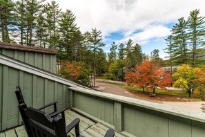 Property grounds - Great place to stay for multiple families all year (Bartlett)