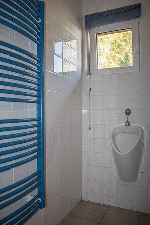 Shower, towels, soap, toilet paper