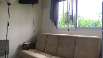 Télévision, lecteur de DVD, livres, chaîne hi-fi