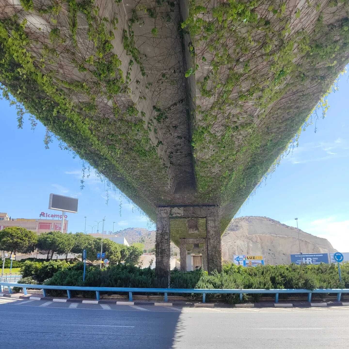 A large stone structure with greenery growing on it, a road with a blue barrier, and a sign in the background.