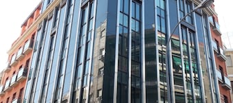 Vier Palmen Die Wohnung