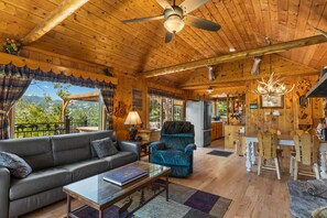 TV connectée, cheminée, lecteur de DVD, chaßne hi-fi