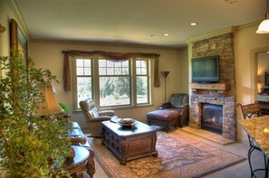 智能电  视、壁炉、DVD 播放器、立体声音响