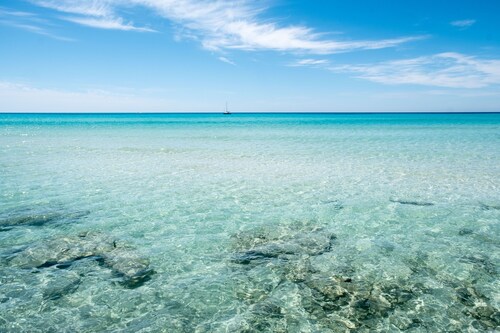 It is the Molí Roig des Trenc