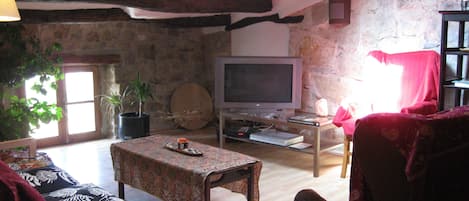 Televisión, chimenea, reproductor de DVD y libros