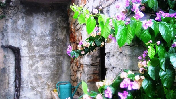 A stone wall with a green watering can and a hose. - Apartment in garden 400m from the sea (Jelsa)