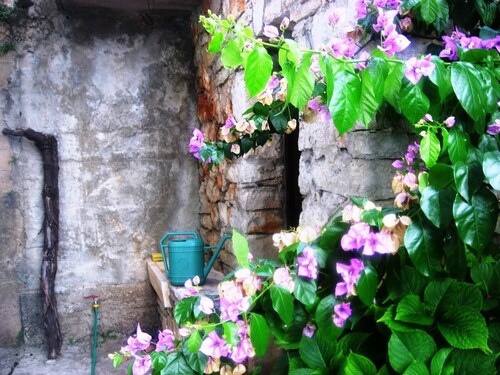 Apartment in garden 400m from the sea