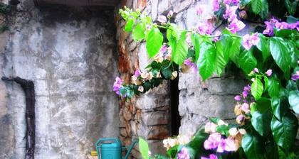 Apartment in garden 400m from the sea