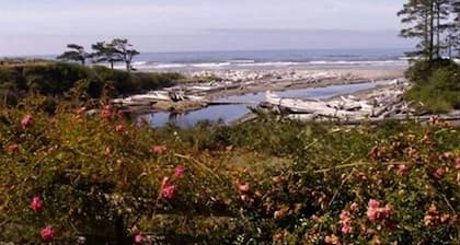 Private,Quiet,cabin,on 27 acres,w/ trails. near the Hoh Rain Forest Nat' l Park.