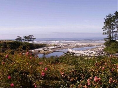 Private,Quiet,cabin,on 27 acres,w/ trails. near the Hoh Rain Forest Nat' l Park.