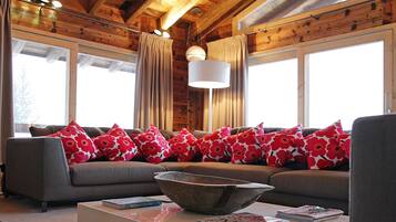 Télévision, cheminée, lecteur de DVD, chaßne hi-fi