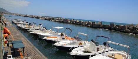 Marina