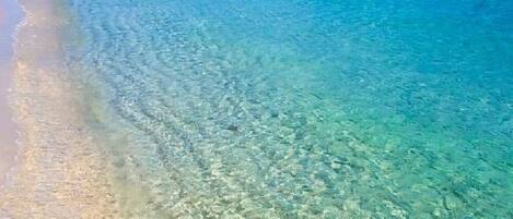 Beach nearby, sun loungers