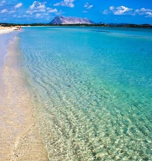 A beach with clear turquoise water, a sandy shore, and a mountain in the background. - Vacation home with water bed, in a panoramic location on the isle Tavolara (San Teodoro)