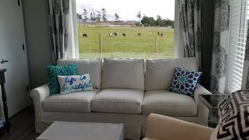 TV connectée, cheminée, livres, chaßne hi-fi