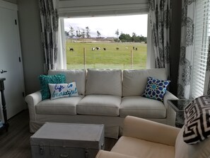 Smart-tv, eldstad, böcker och en stereo