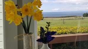 A window view with a white vase containing yellow flowers and a smaller vase with blue flowers on a textured mat.