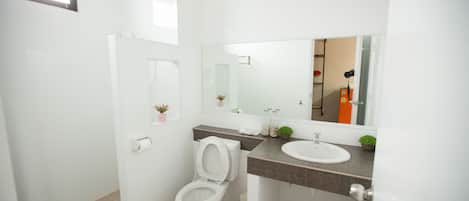 A modern bathroom with a toilet, sink, and mirror.