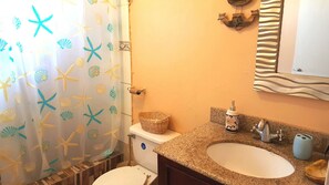 Douche, séchoir à cheveux, serviettes fournies, papier de toilette