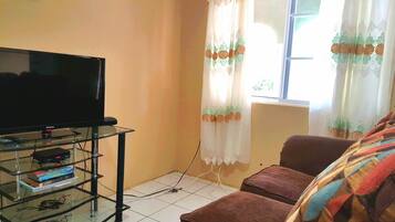 Flat-screen TV, DVD player, books, stereo