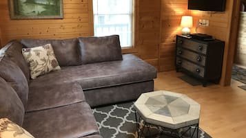 TV, fireplace, DVD player, books