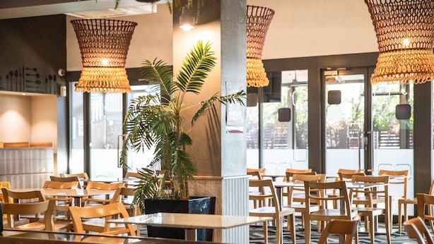 A restaurant with wooden tables and chairs, a large potted plant, and woven ceiling lamps. - Swansea Hotel (Swansea)
