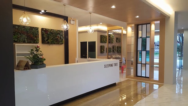 A reception area with a white counter labeled "SLEEPING TREE," decorative plants, and pendant lighting. - Sleeping Tree Hotel (Fang)