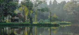 Sappraiwan Elephant Resort & Sanctuary