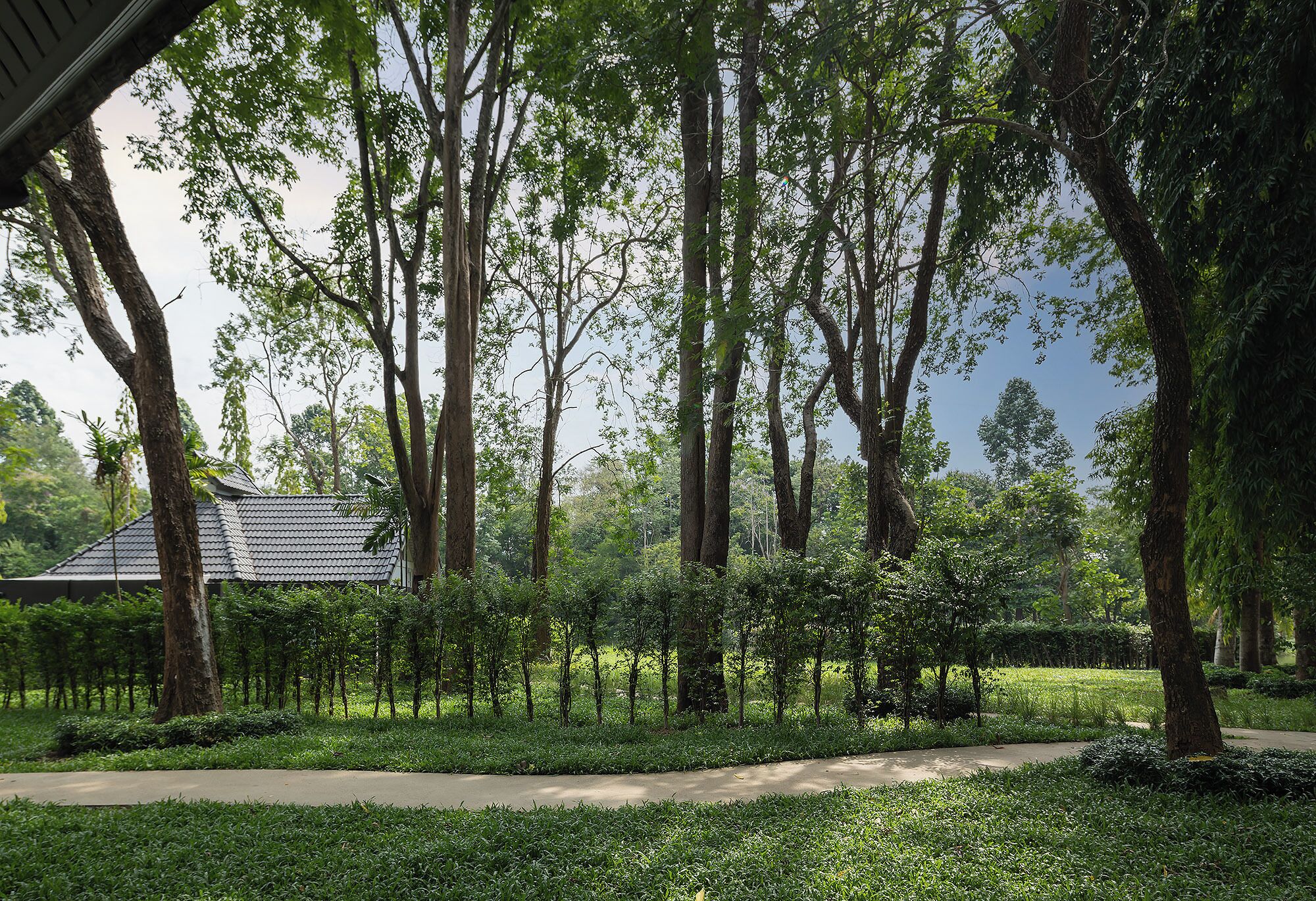 BBQ/picnic area