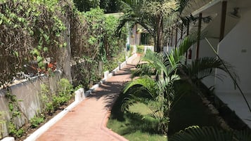 Vista desde la habitación