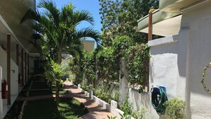 A narrow pathway flanked by lush greenery and a white wall with a hose and a blue object. - Alona Gecko Inn (Panglao)