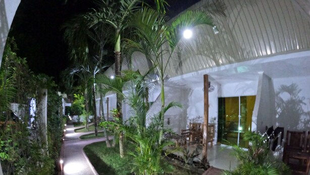 A well-lit outdoor area with a paved walkway, surrounded by lush greenery and palm trees. - Alona Gecko Inn (Panglao)