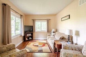 Smart TV, fireplace, DVD player, video library