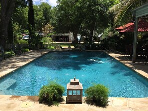 Una piscina rectangular con agua azul cristalina, rodeada de baldosas de piedra y pequeños arbustos.